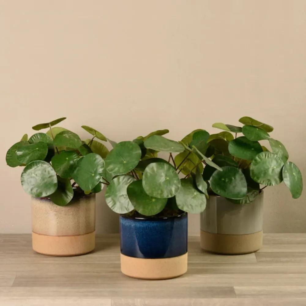 Artificial Pilea Peperomioides Plantundefined