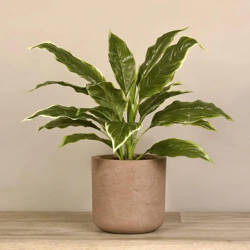 Artificial Hosta Plantundefined