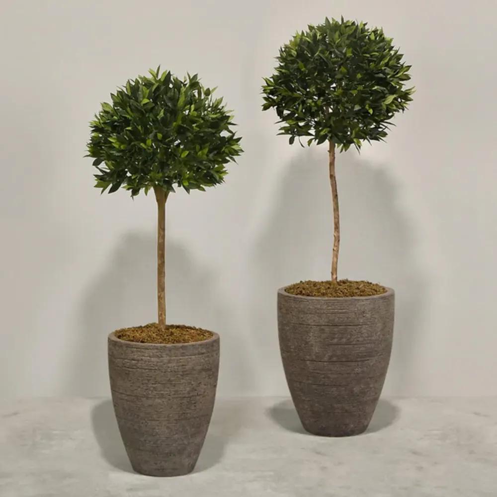 Artificial Laurel Treeundefined