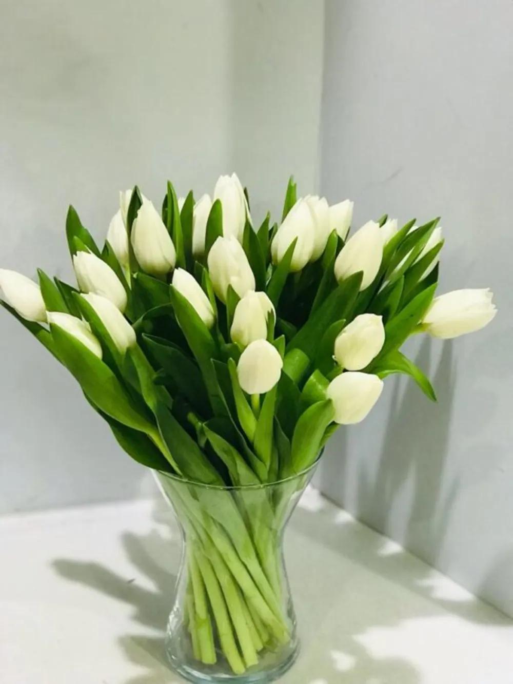 PURITY OF LOVEundefined