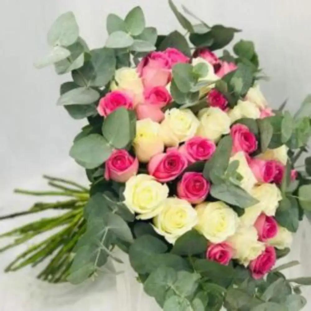 WOMEN’S DAY SPECIAL #3undefined
