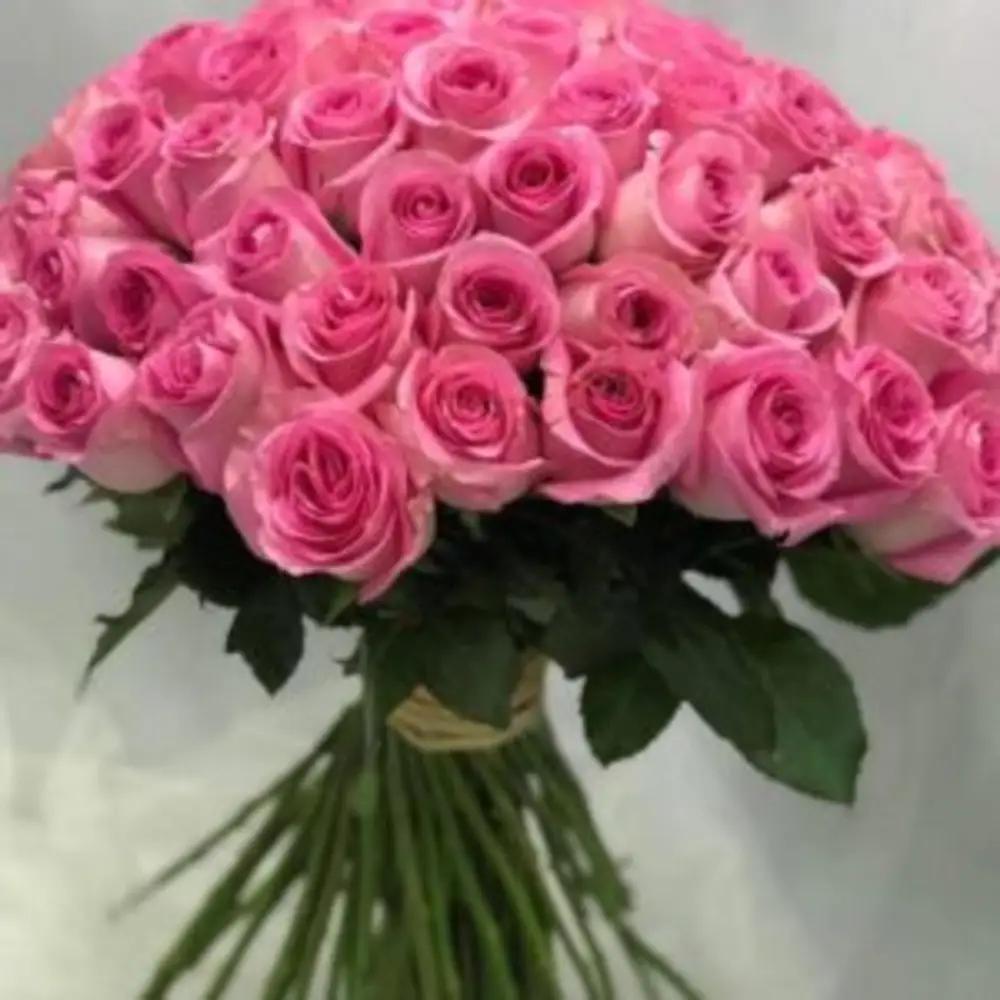 WOMEN’S DAY SPECIAL #5undefined