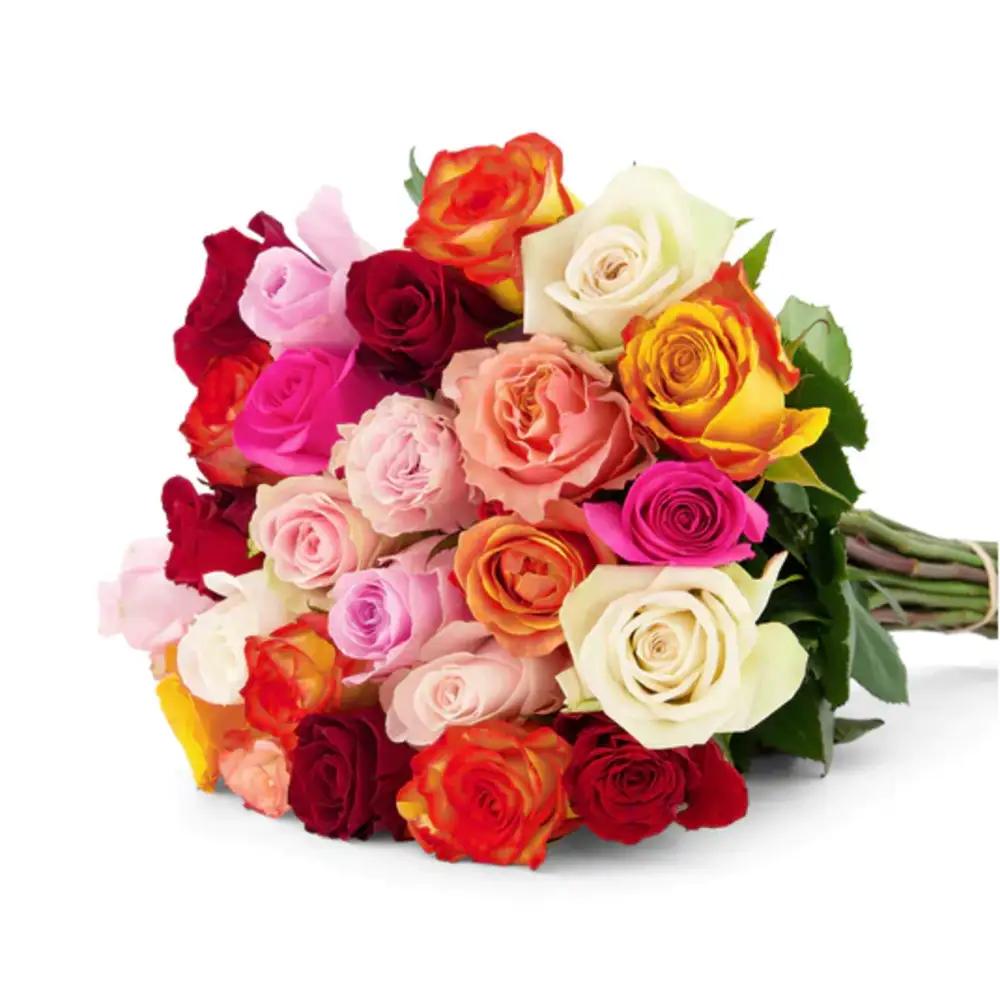 Rainbow' Mixed Color Roses from Nigwaundefined