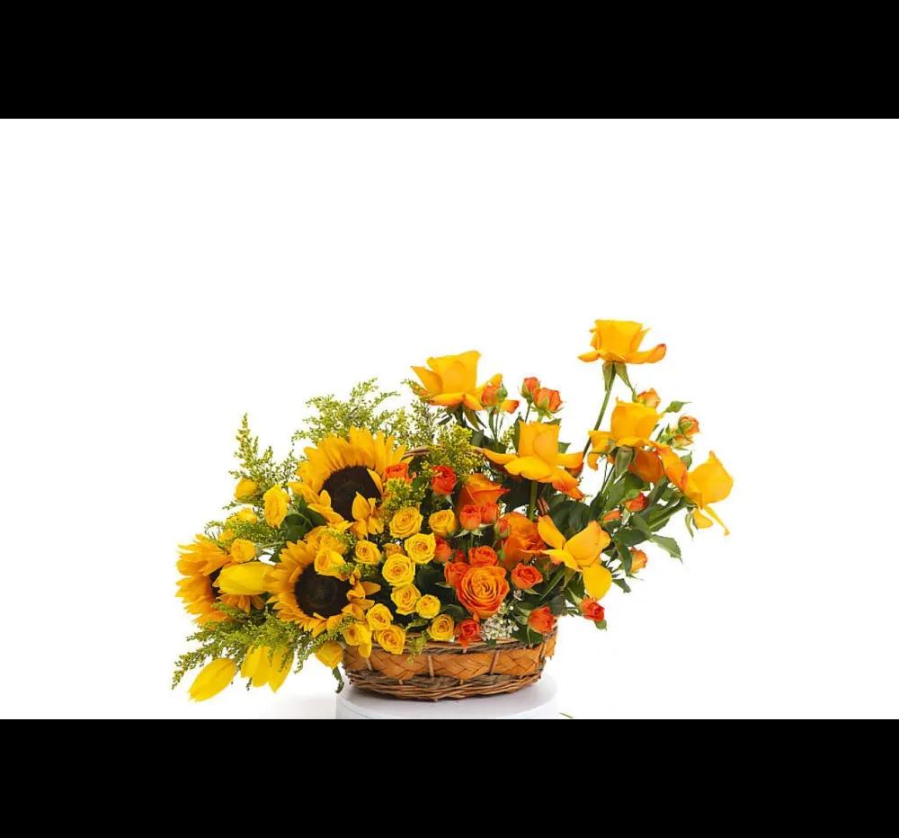 Sun basket arrangement.undefined