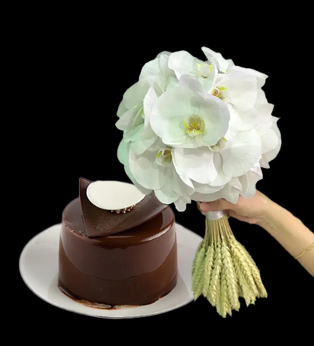 Gift Combo..6.undefined