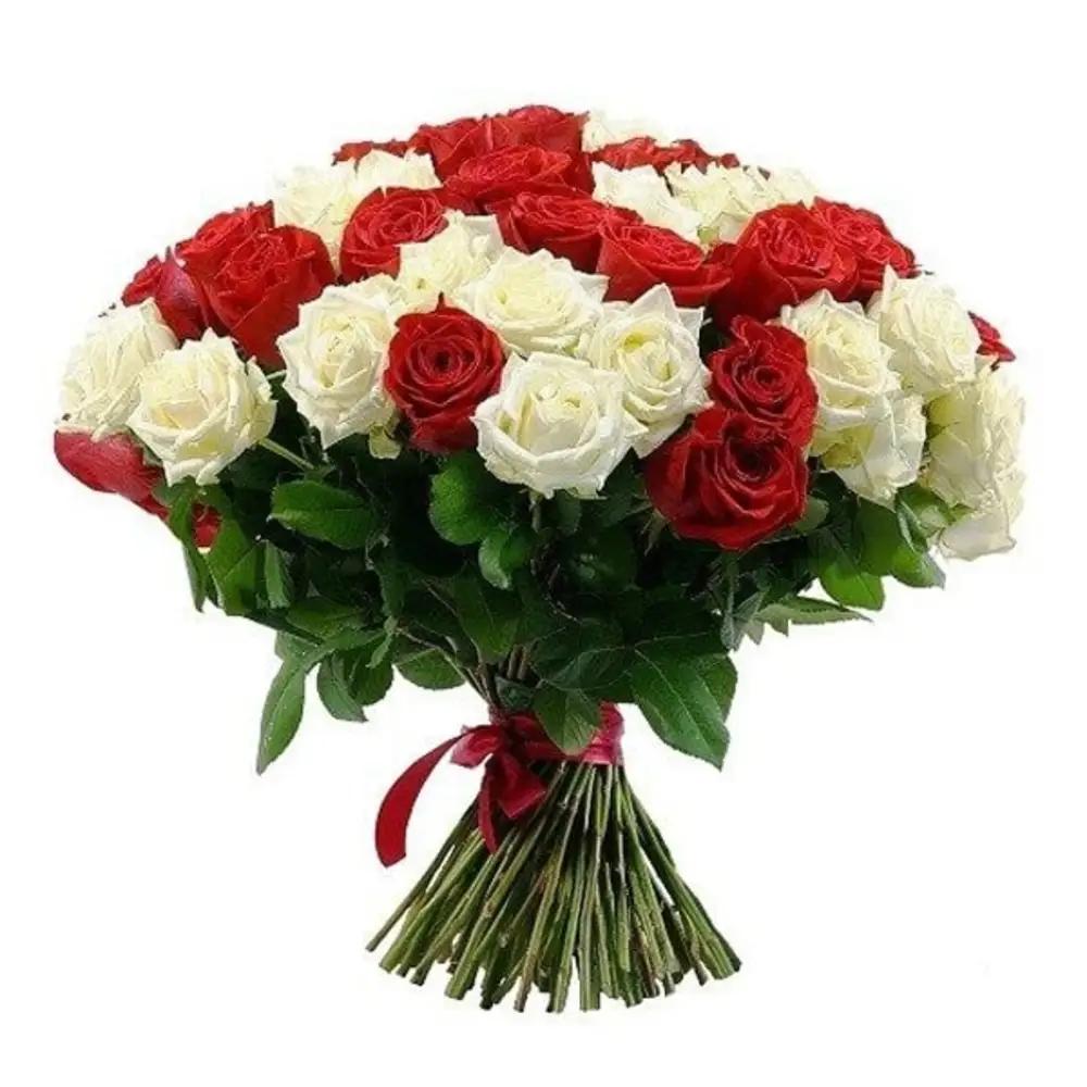 101 RED AND WHITE ROSES