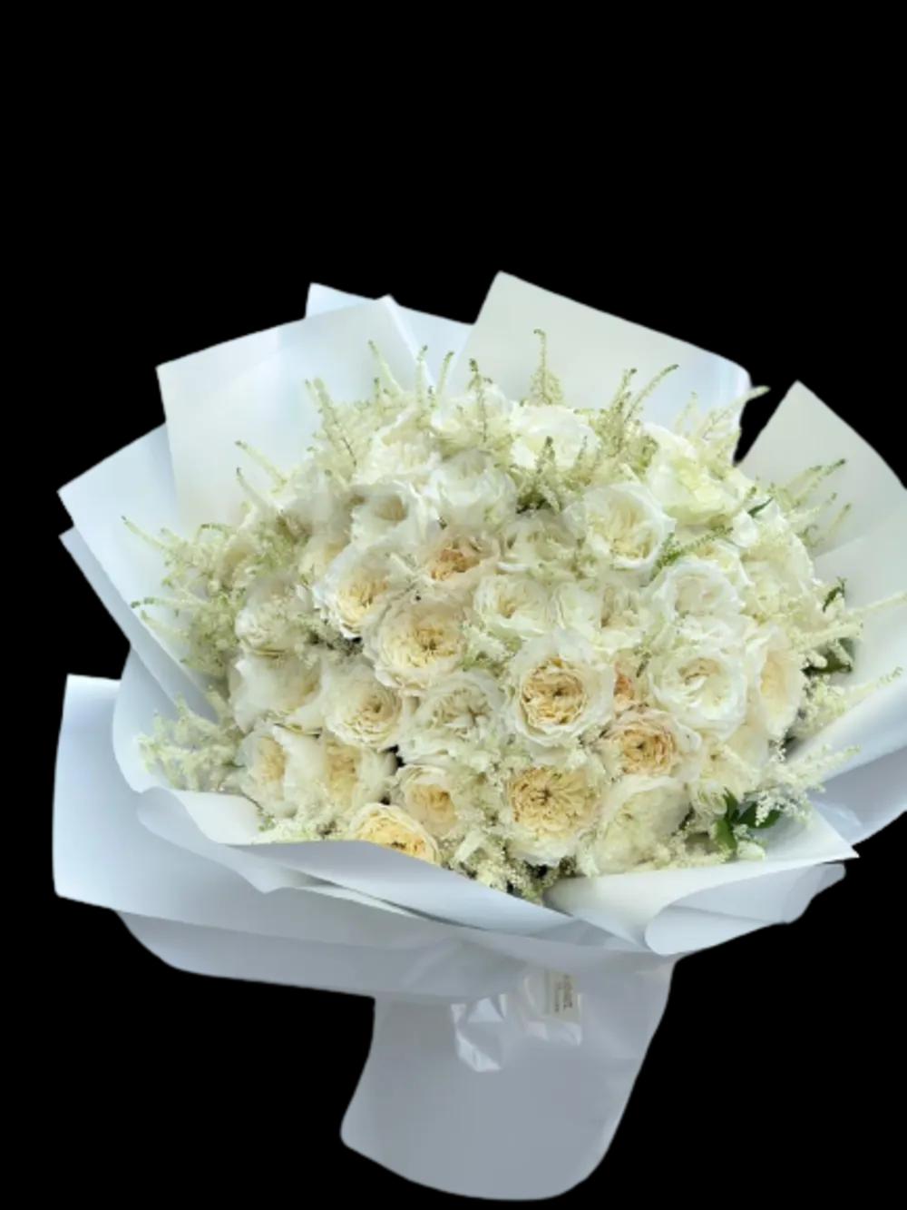 Gorgeous Special David Austin Roseundefined