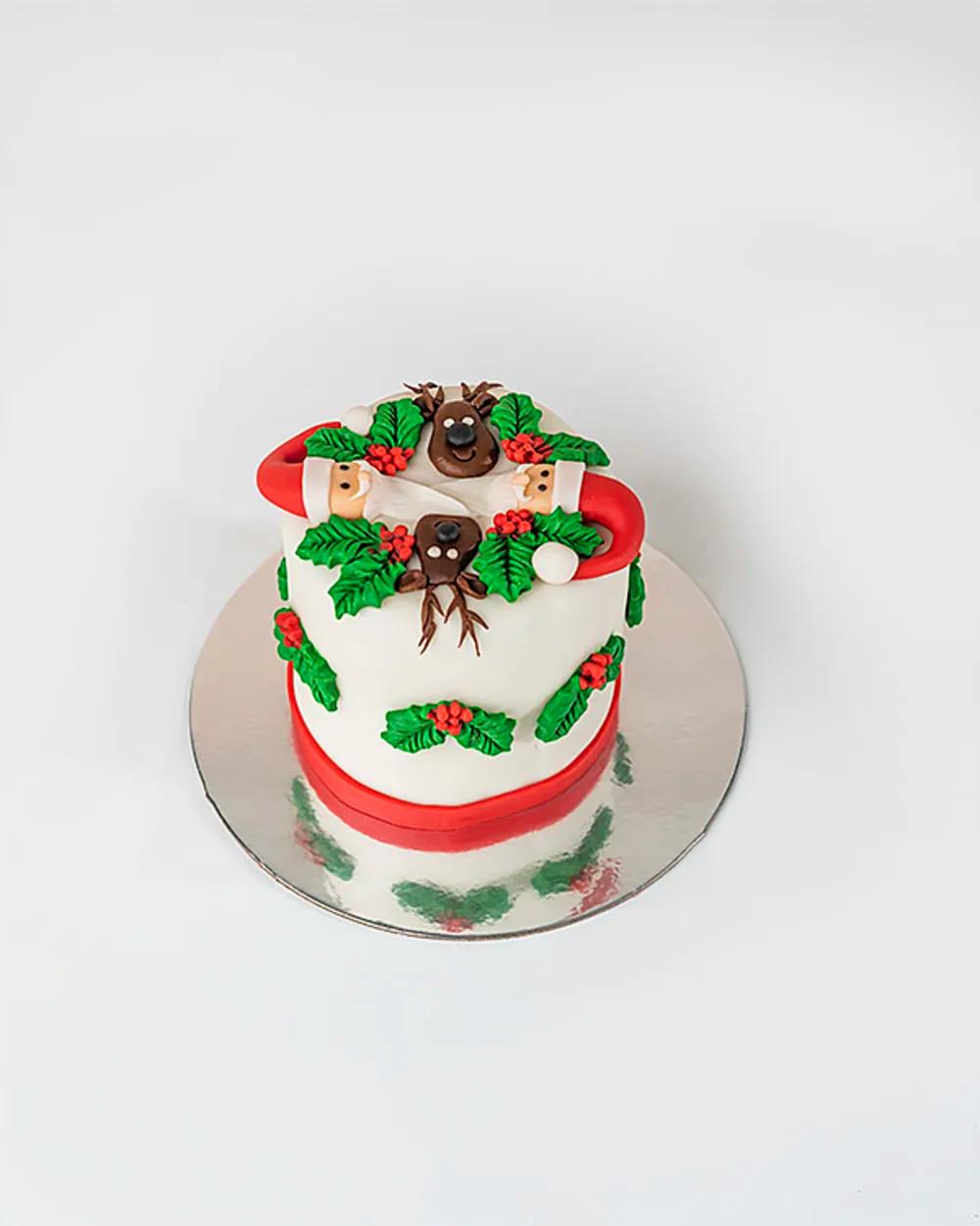 Santa and Reindeer Christmas Cake By NJDundefined