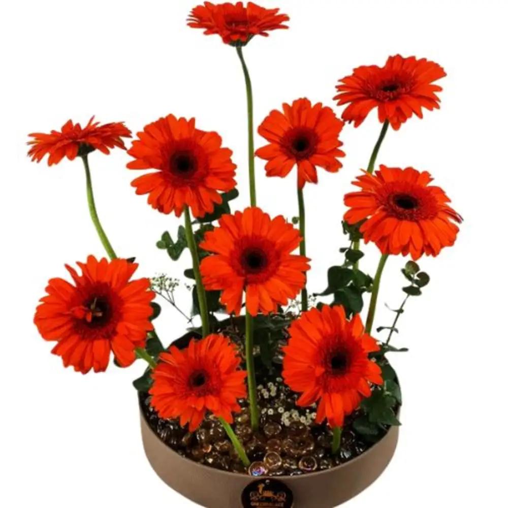 flower with trayundefined