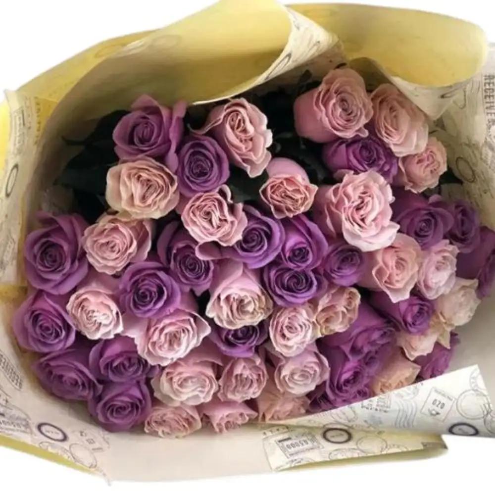 BEAUTY OF LAVENDER