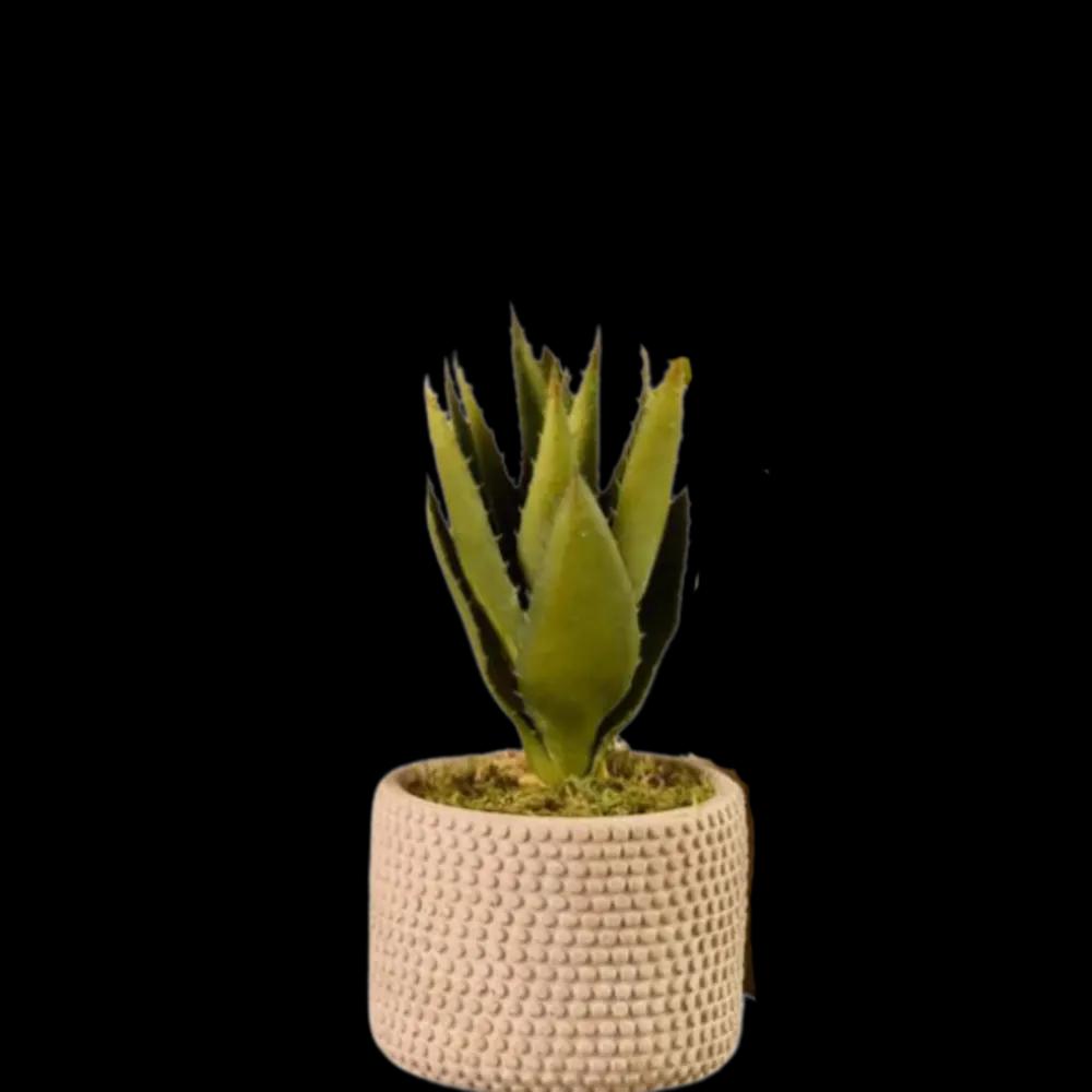 Artificial Aloe Plant.undefined