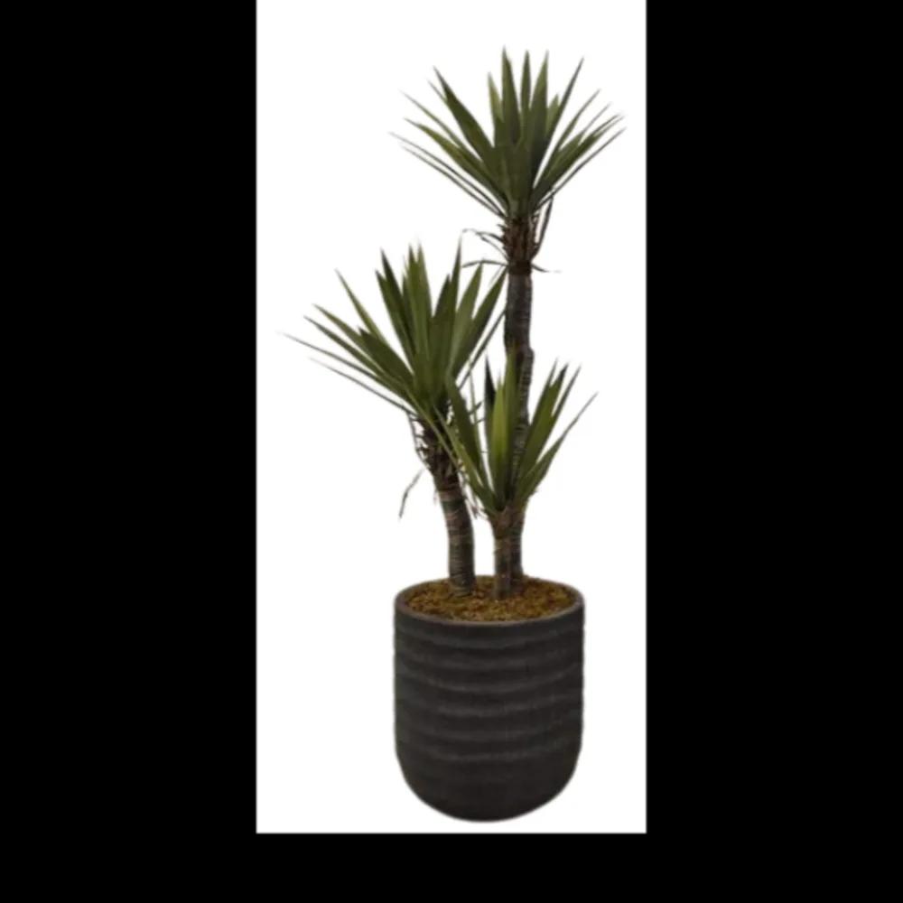 Artificial Yucca Plant.undefined