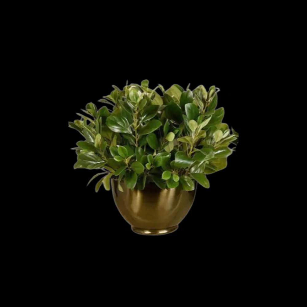 Artificial Watercress Plant.undefined
