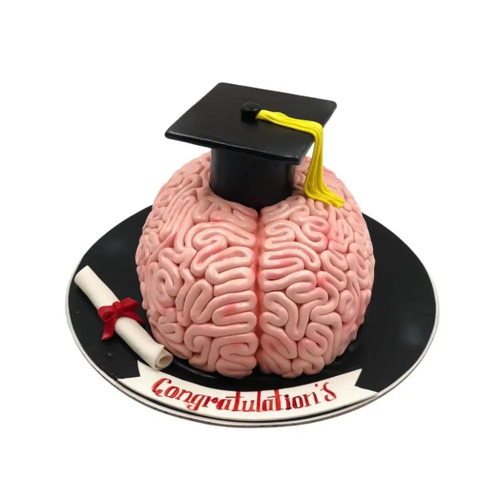 Graduation Brain CakeGraduation Cake Gift, Graduation Celebration Cake, Creative Graduation Cake, كيك تخرج, كيك احتفال بالتخرج, كيك تخرج مبتكر