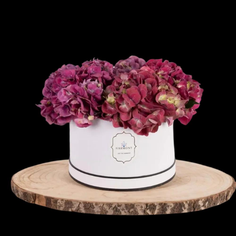 BalcoBloom Hydrangea