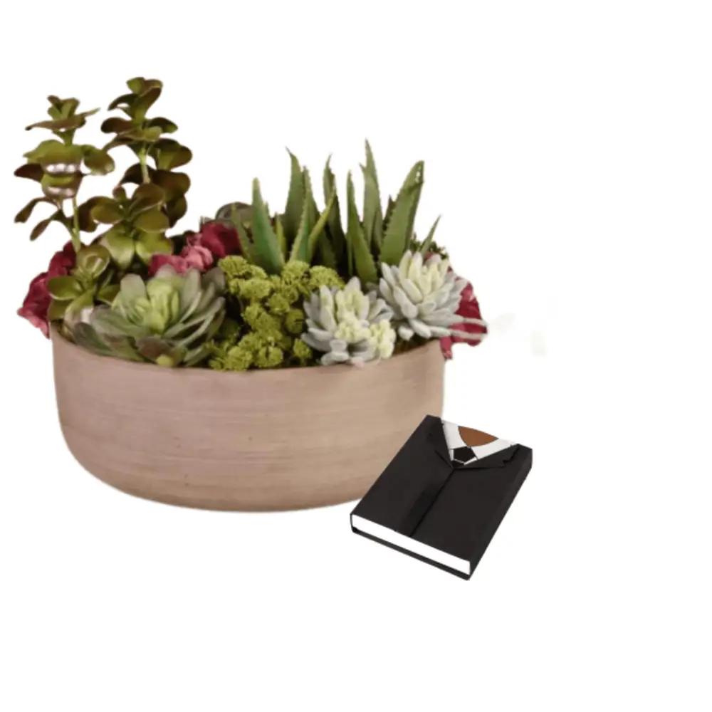 Corporate Gifts plante with chocolate 3undefined