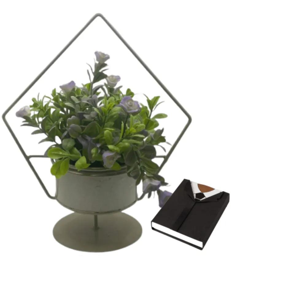 Corporate Gifts plante with chocolate 8undefined