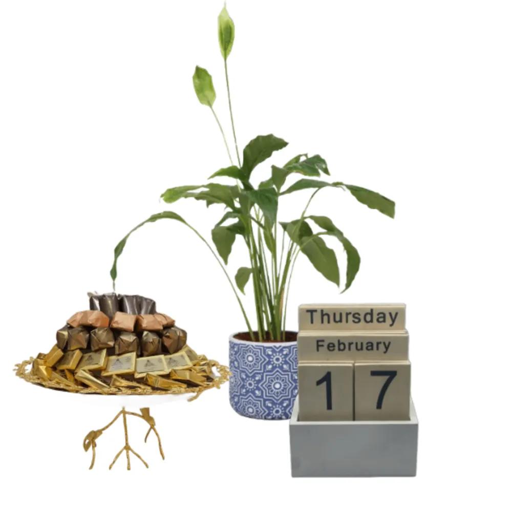 special Corporate Gifts 19undefined