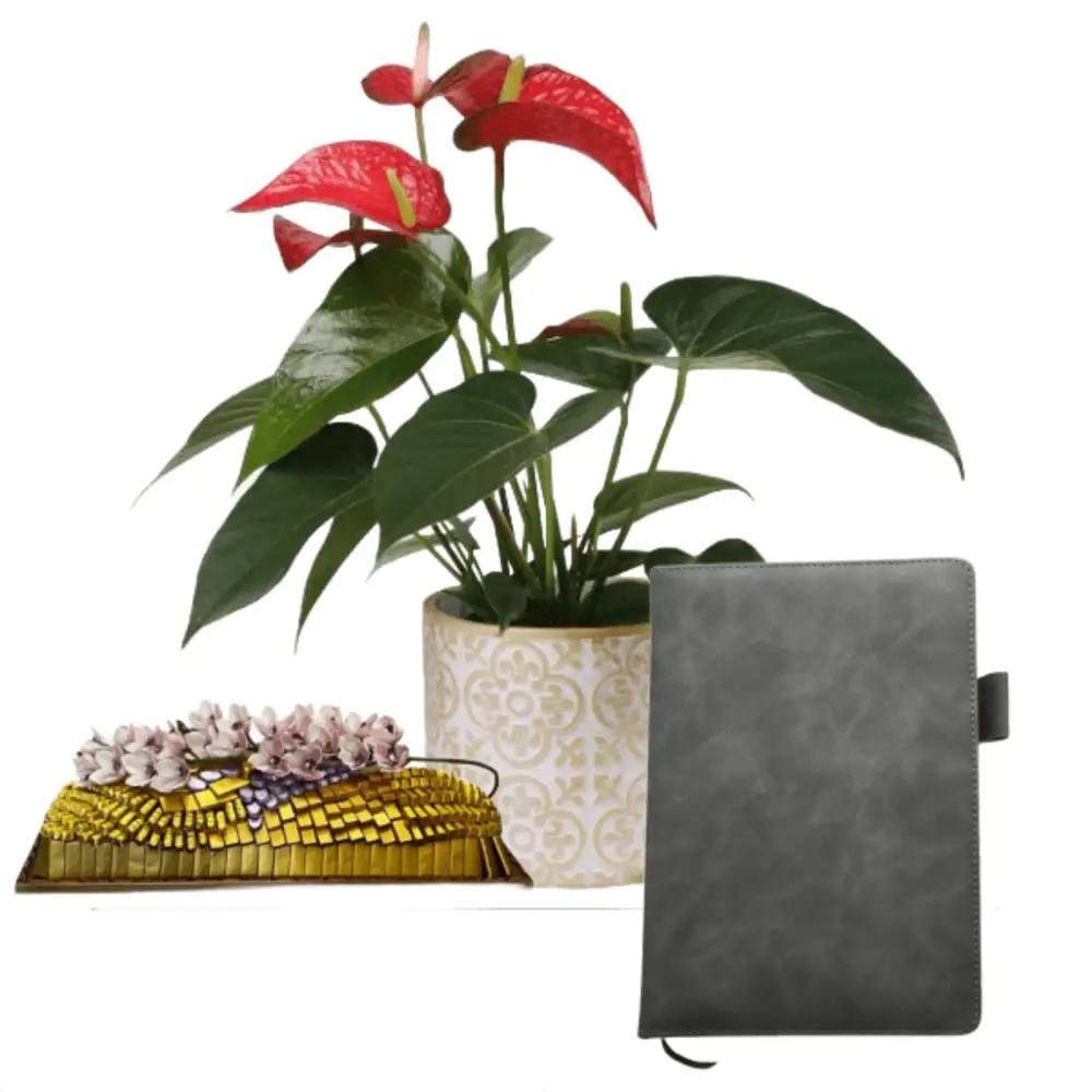 special Corporate Gifts 5undefined