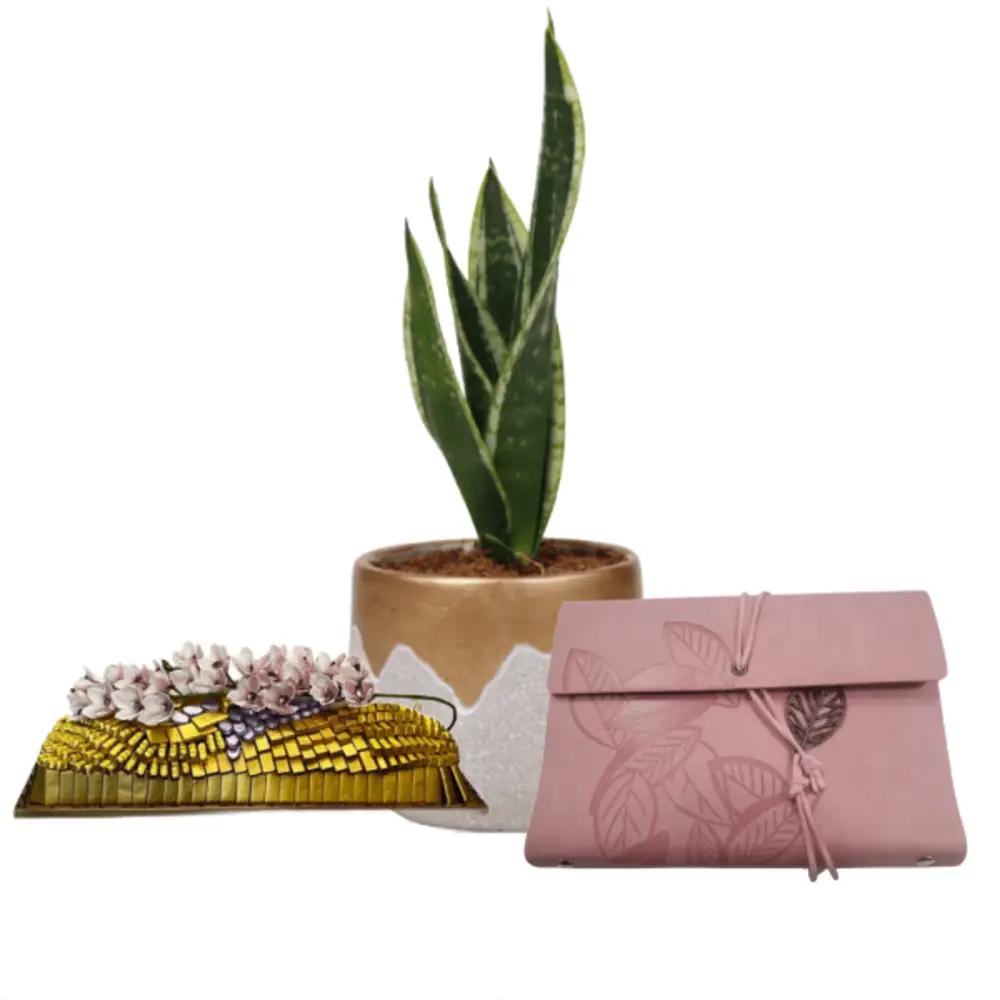 special Corporate Gifts 13undefined