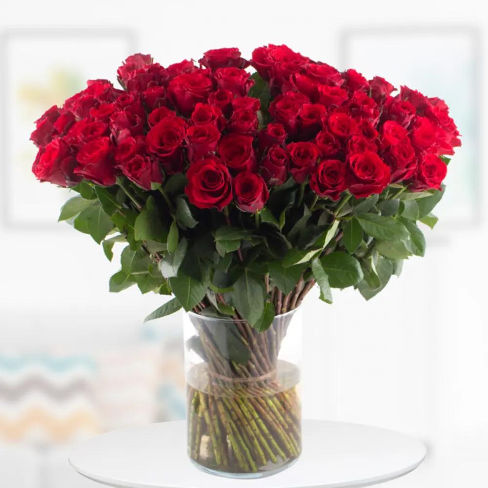 100 Roses - Upperclass (50cm)