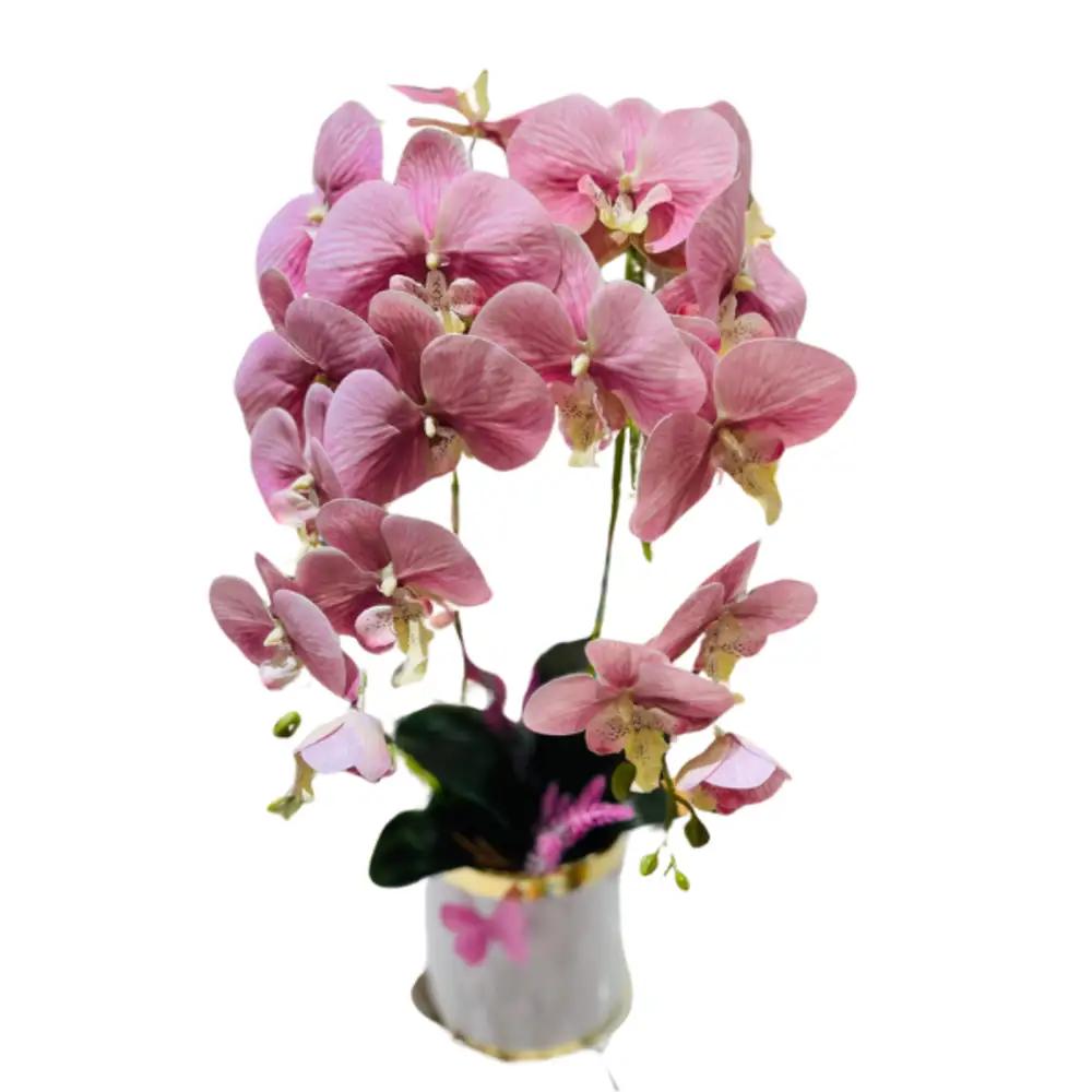 Orchid plant in a wonderful vaseundefined