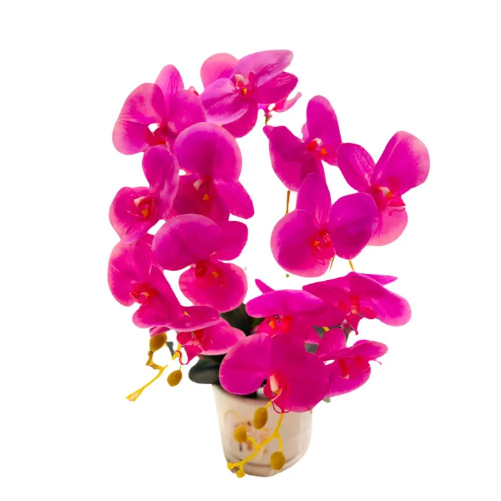 Orchid vase pink colorundefined
