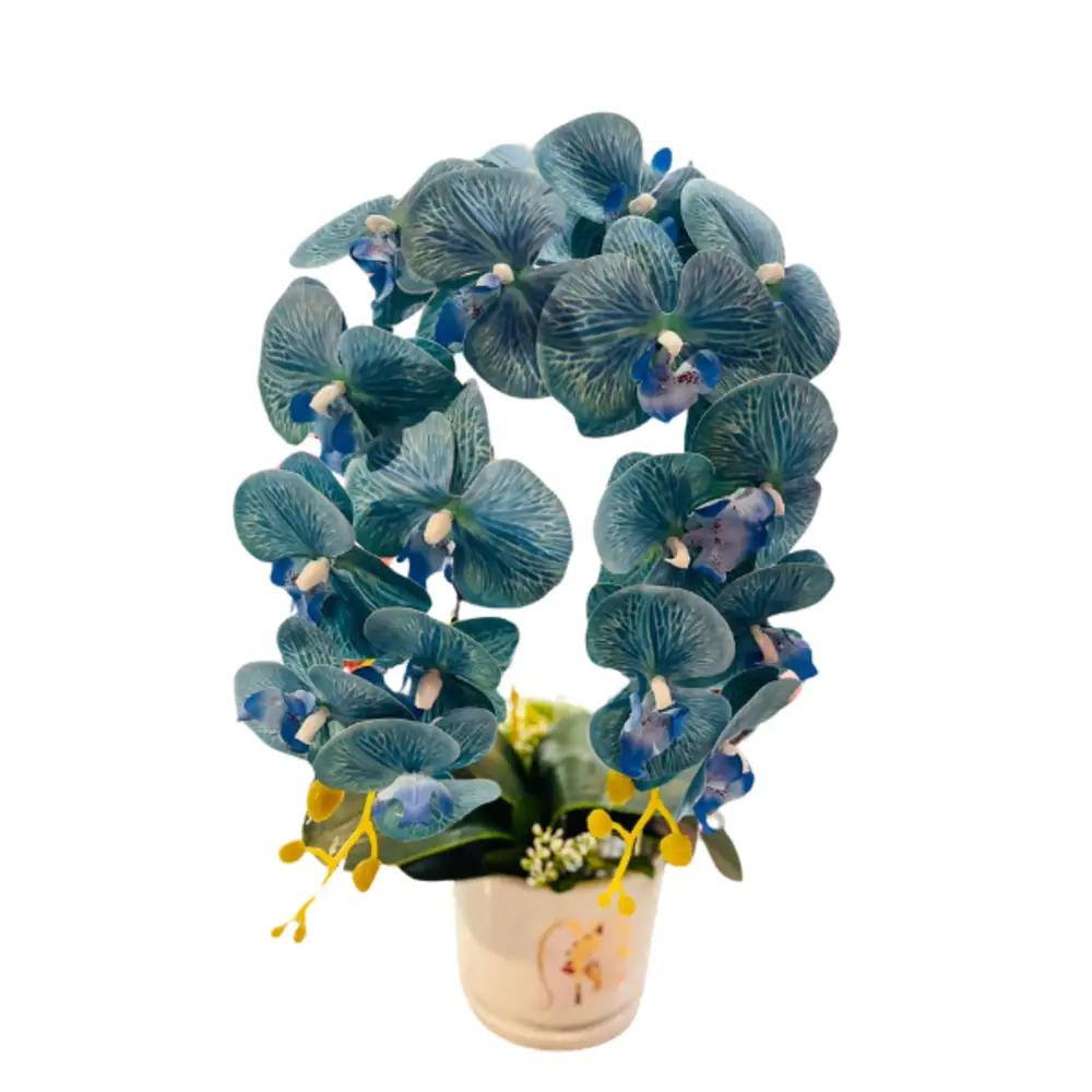 Orchid vase blue colorundefined