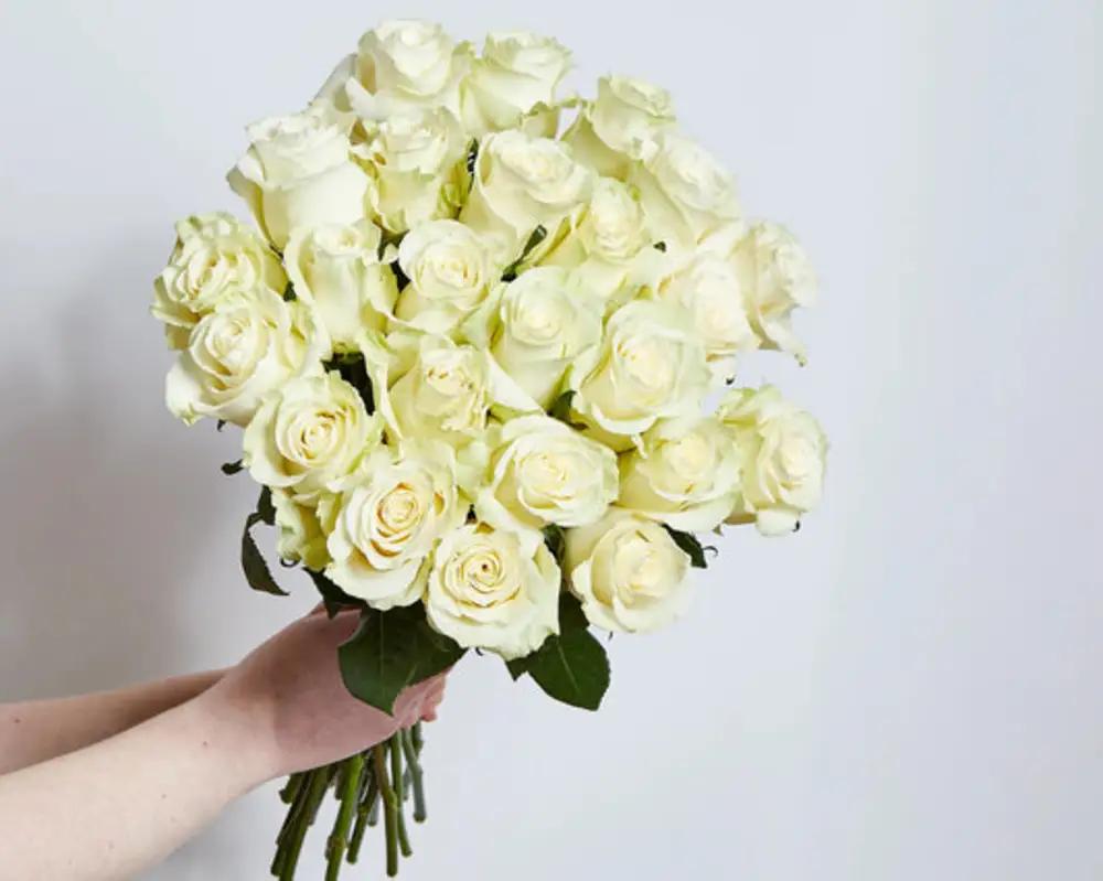 Dolce Eleganza : 12 rose biancheundefined