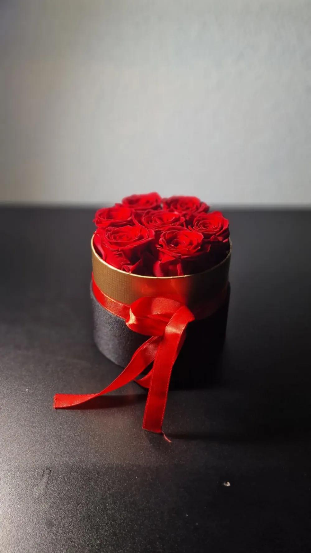 Rosa Eternaundefined