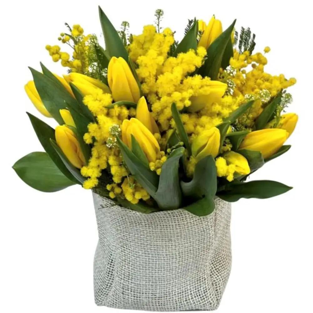 Mimosa e Tulipani |BD Fioristaundefined