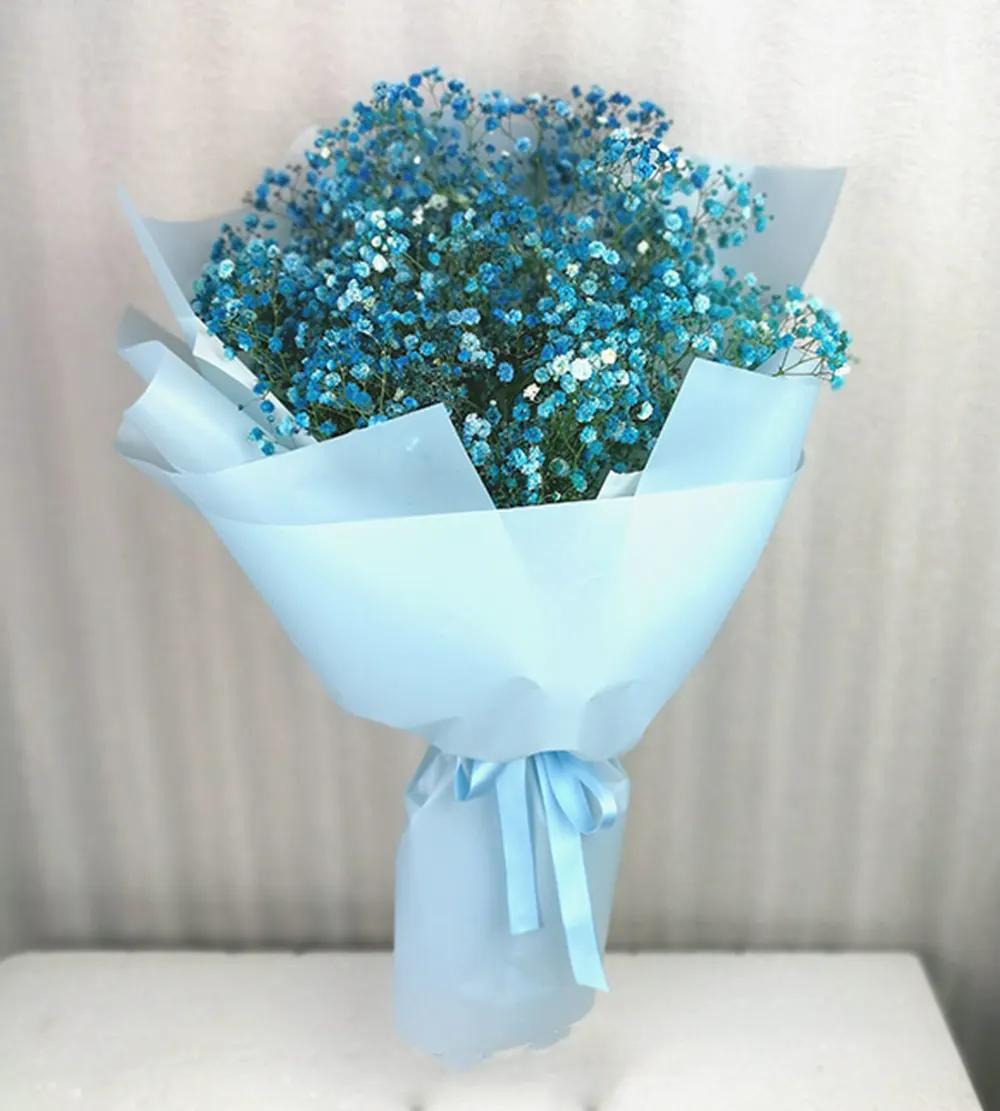 HB1002 Blue Baby Breath Hand Bouquetundefined