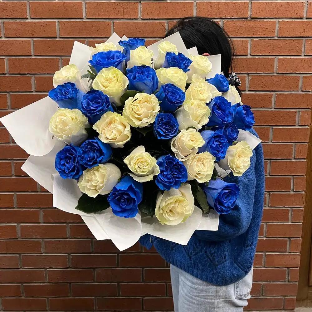 Blue and white rosesundefined