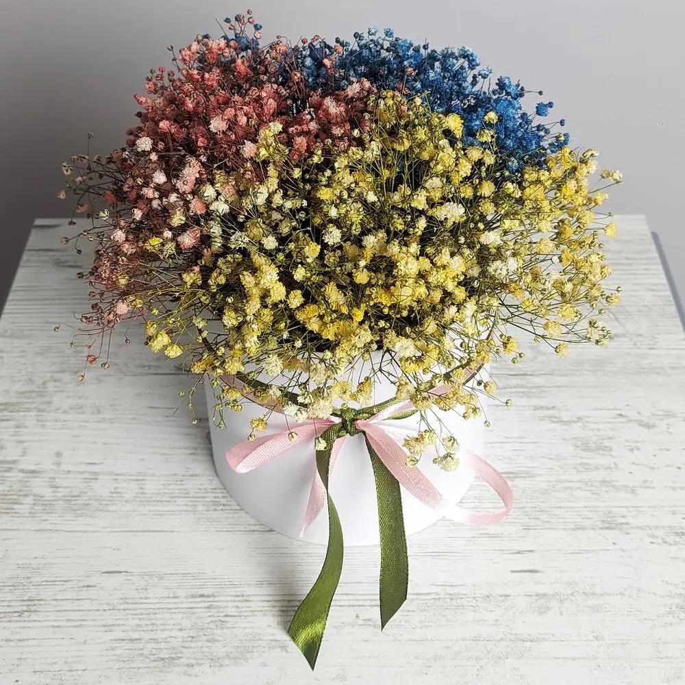 Color gypsophila in a white boxundefined