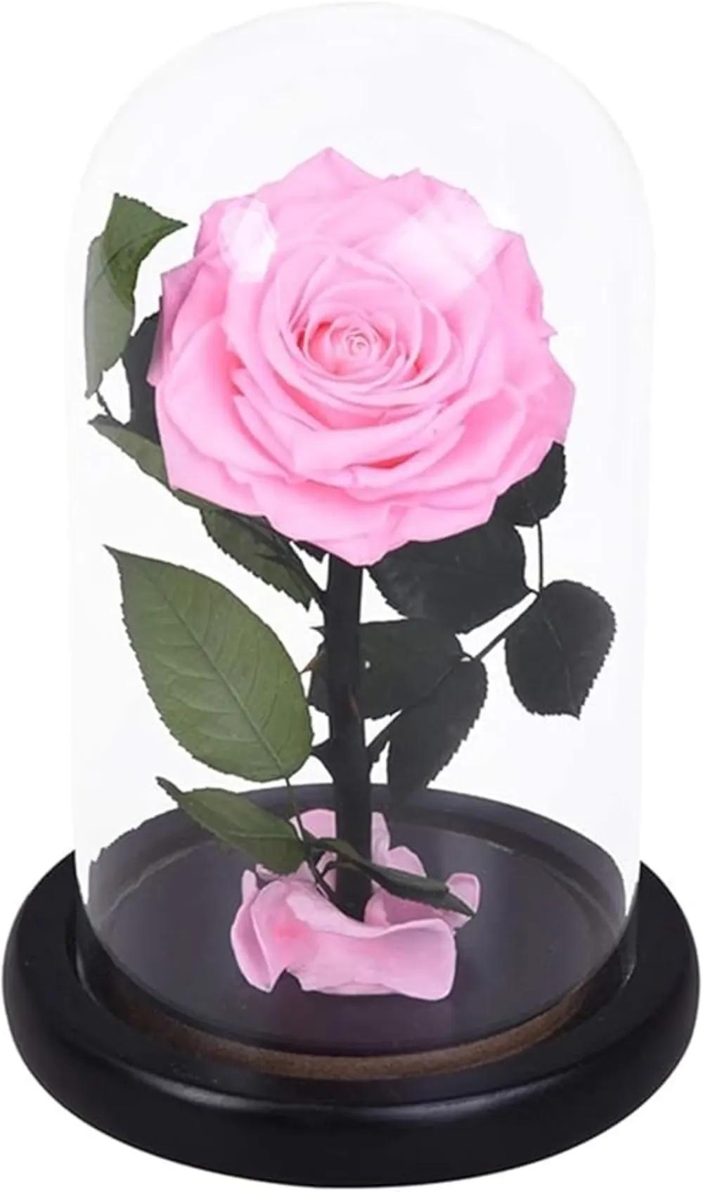 flower forever pink colorundefined