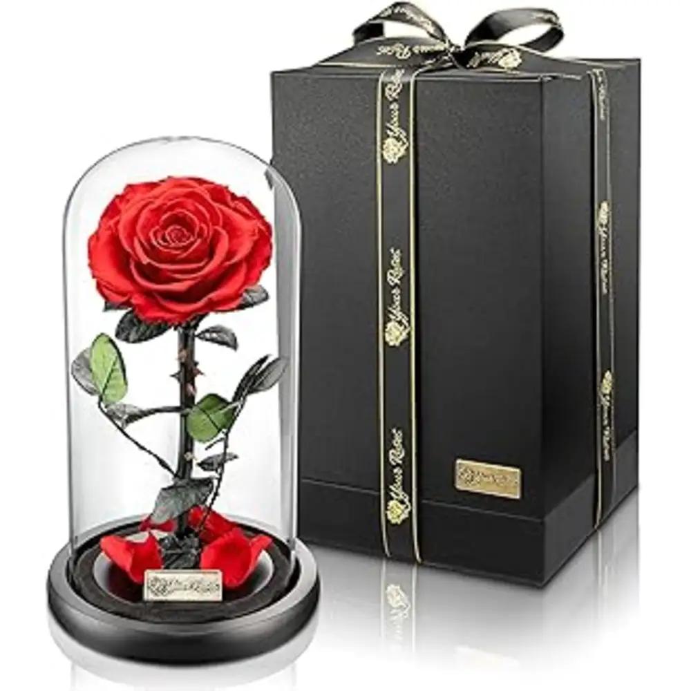 Forever Rose - Deep Red3undefined