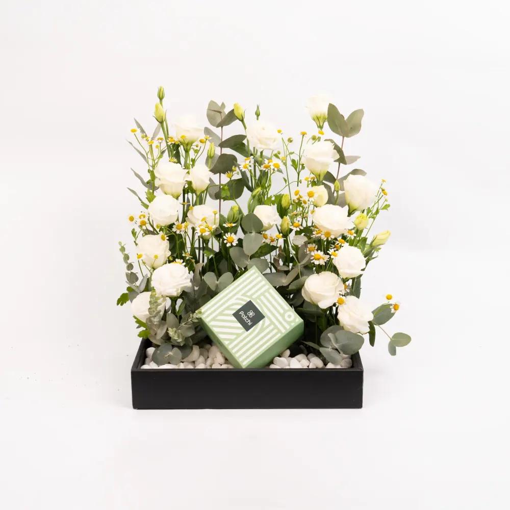 Eternal Elegance Boxundefined