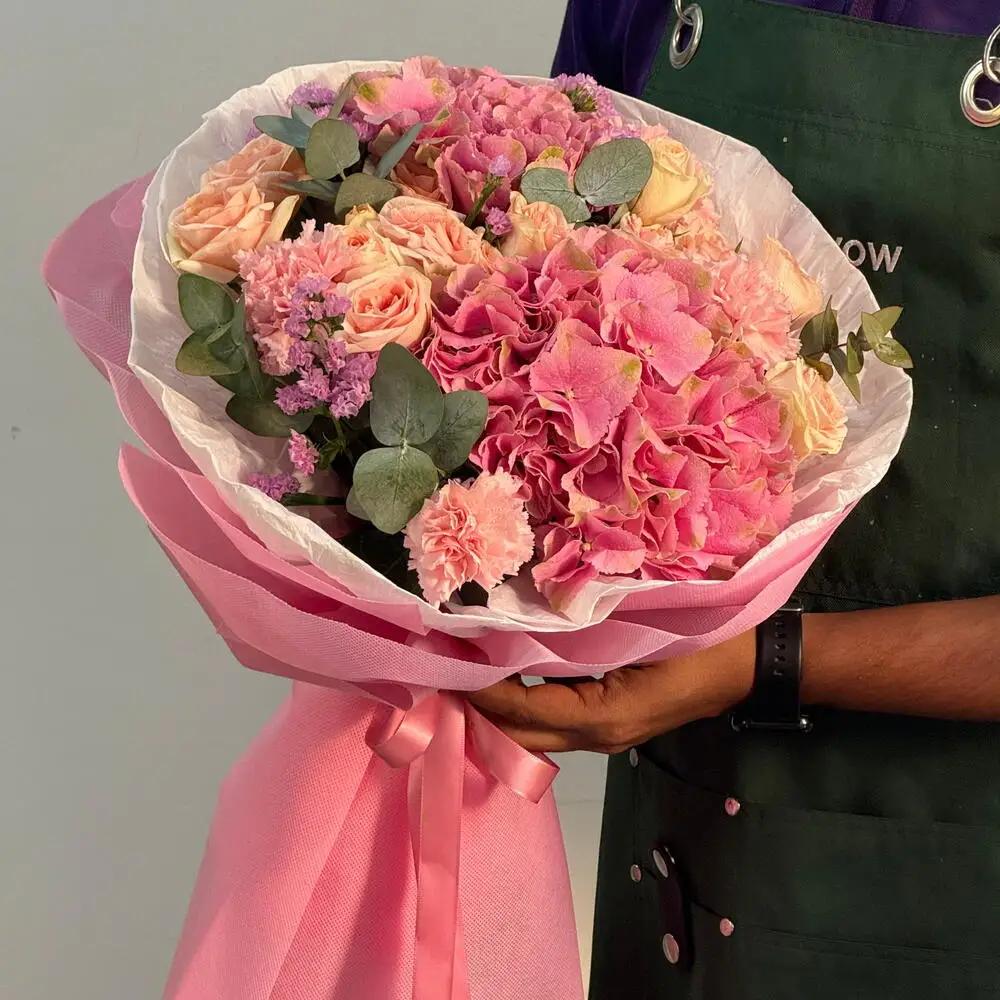 hydrangea pink caspian purple