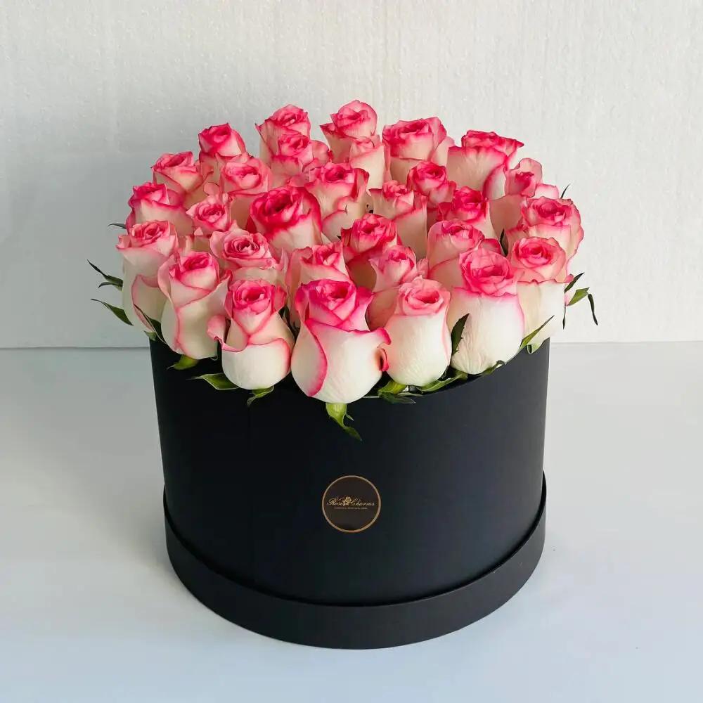 Color harmony box