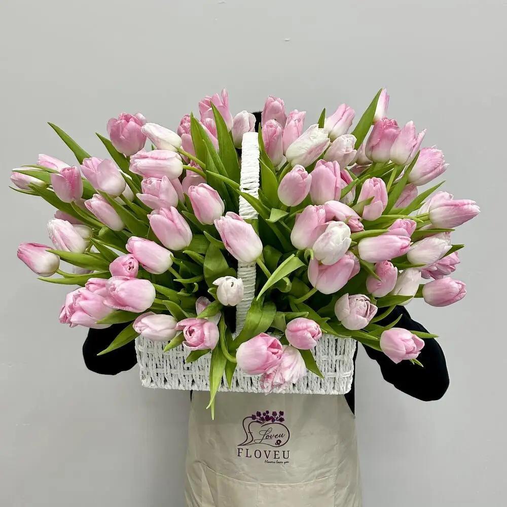 BEIRUT STYLE tulip