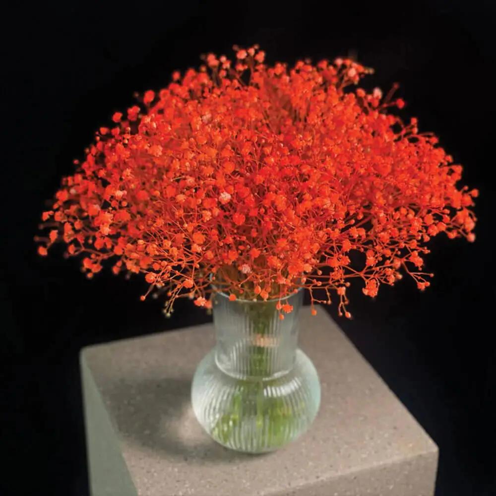 A vase of soft