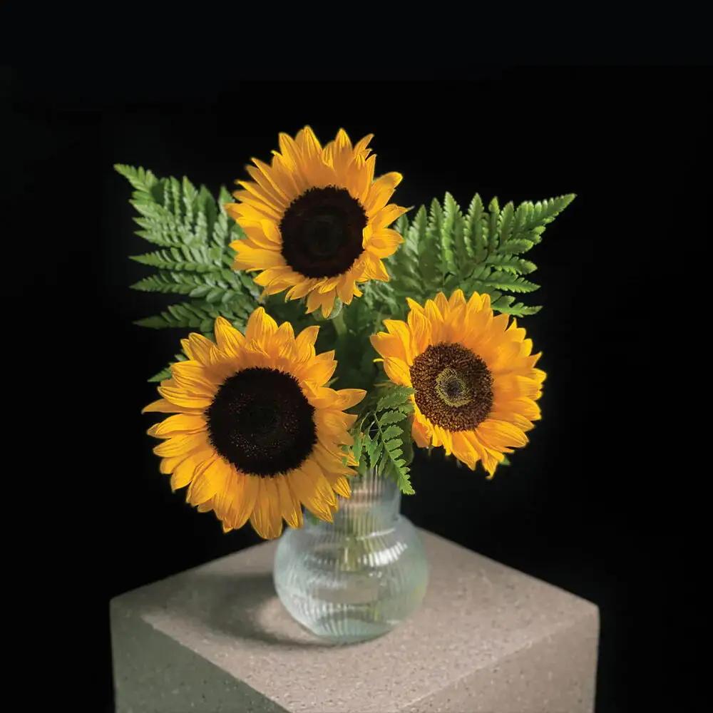 Divine Beauty Vase