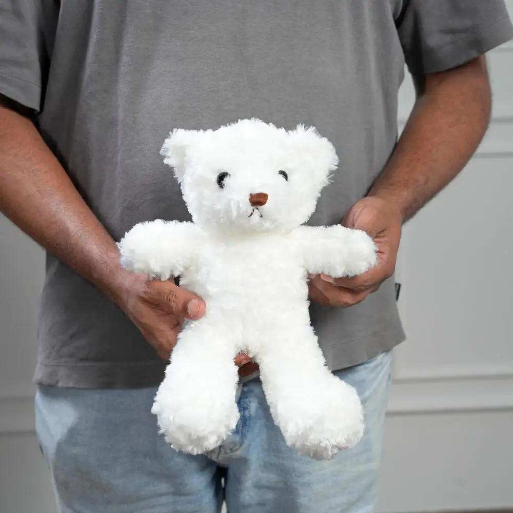 25cm Cute White Teddy Bear 7482