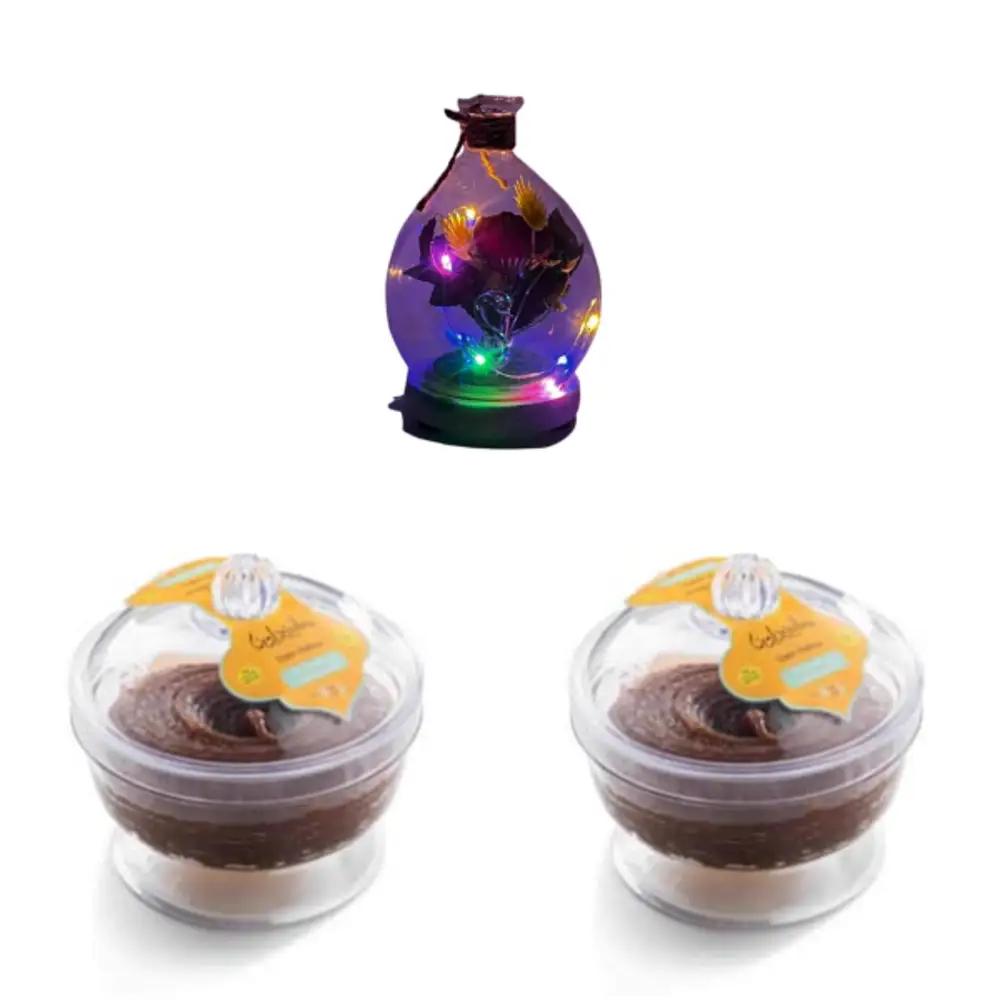 Light Bundle 2023undefined