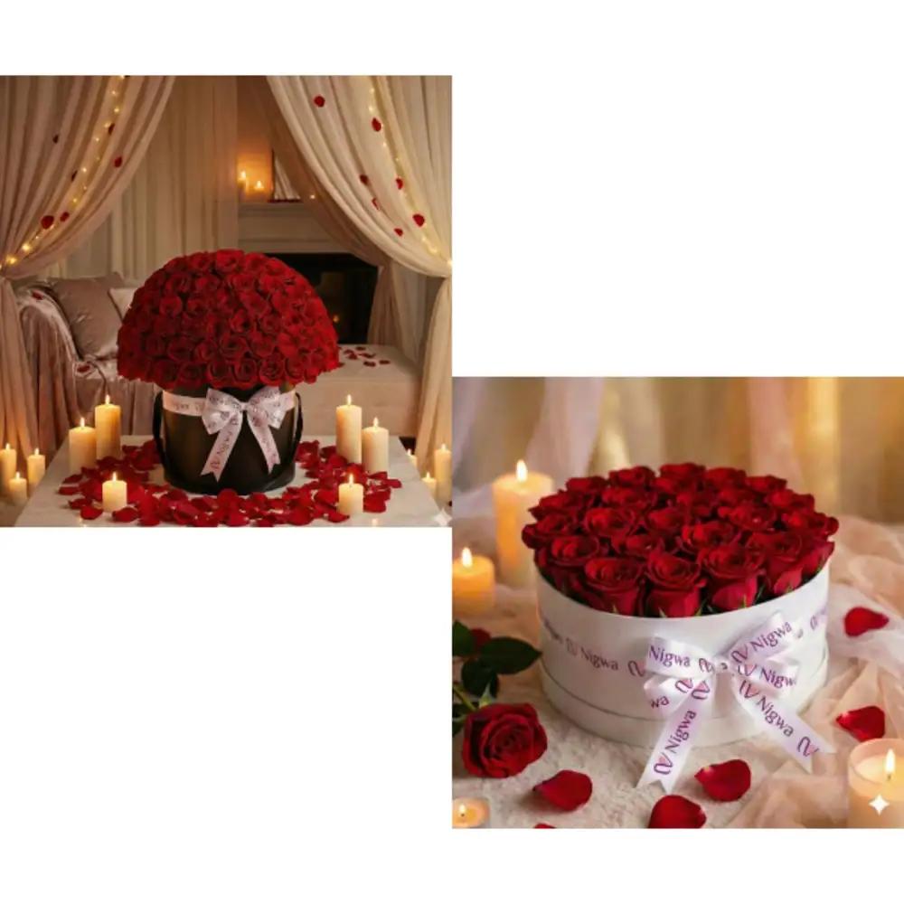Box Bundle 1578undefined