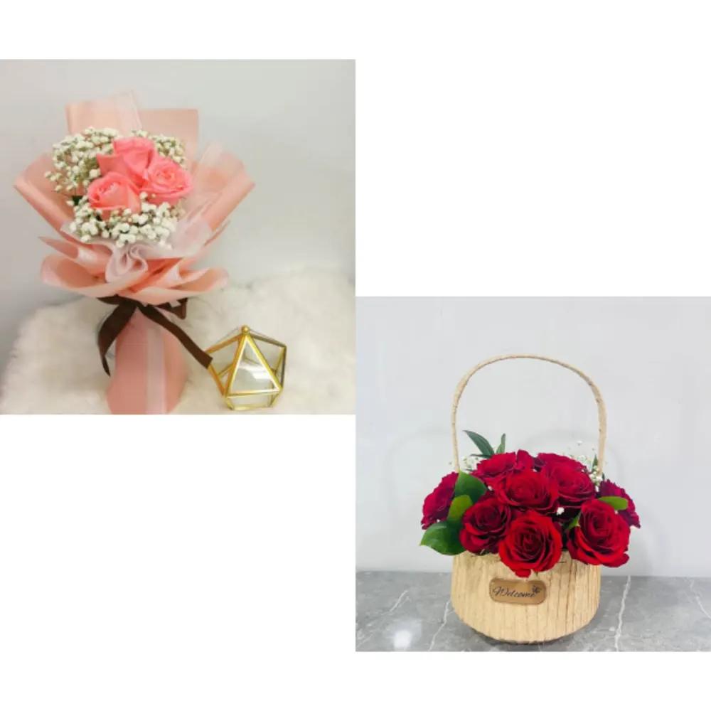 HB0304 Bundle 3755undefined