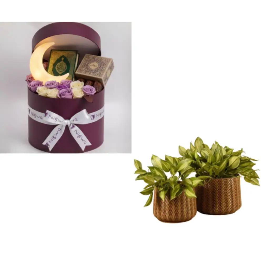 The Bundle 5315undefined