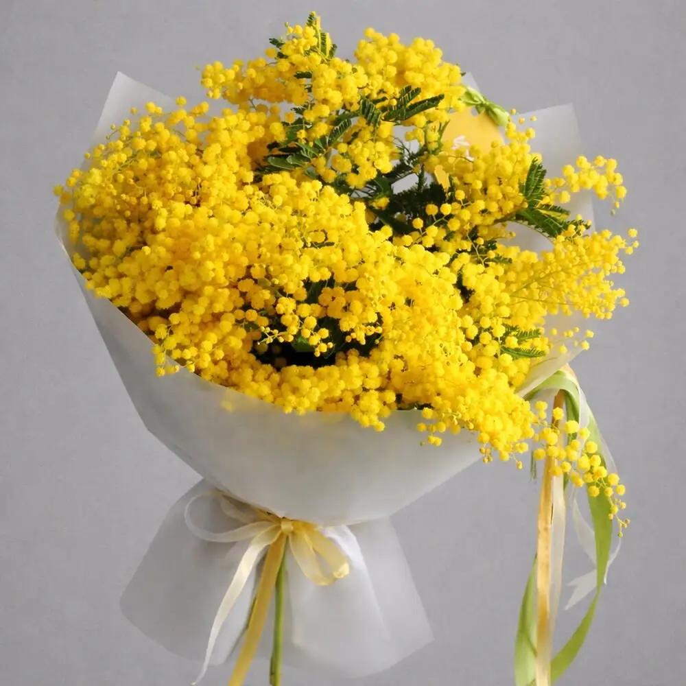 Mimosa (limited offer)Mimosa, Women’s Day gift, ميموزا, Mother’s Day Flower Gift
