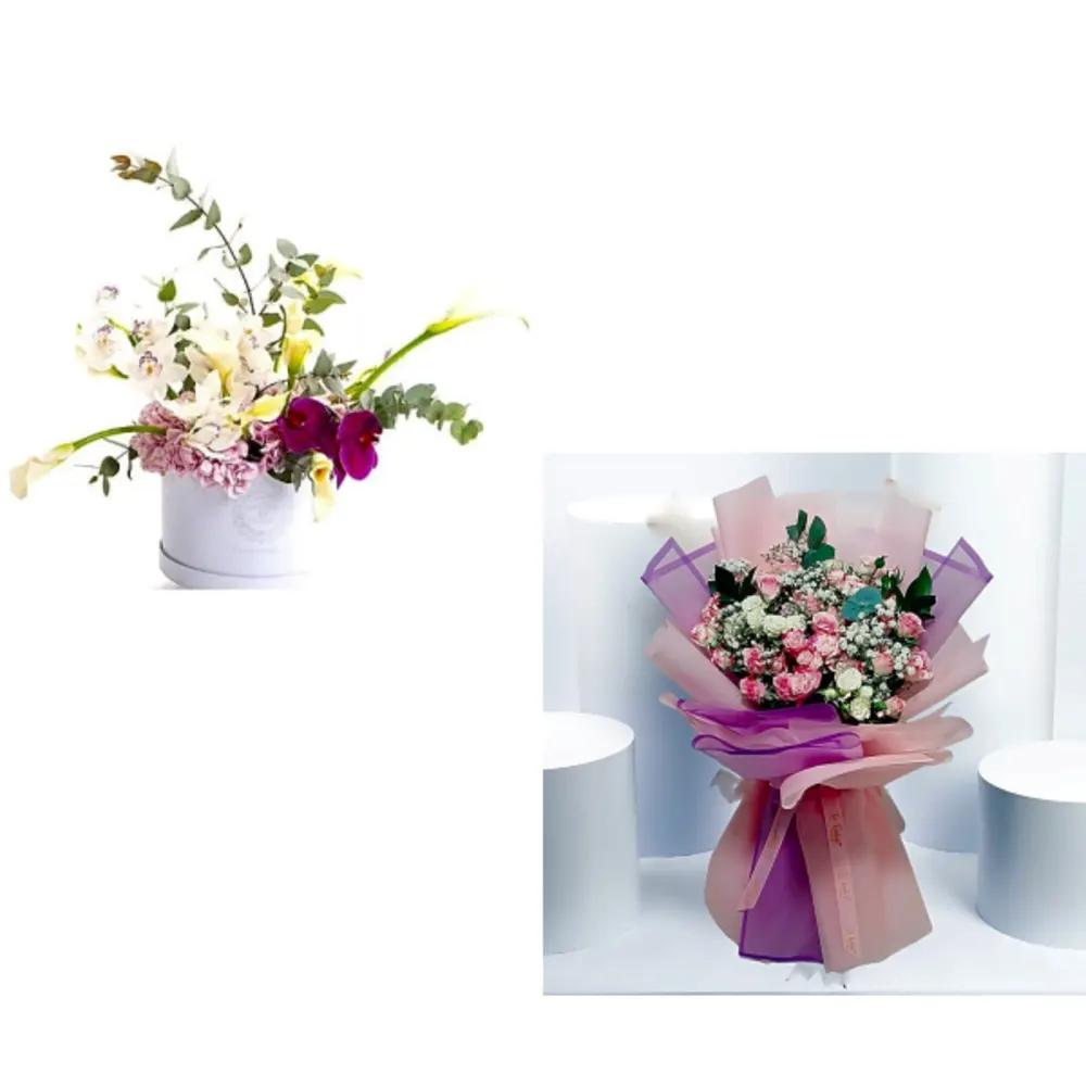Box Bundle 1458undefined
