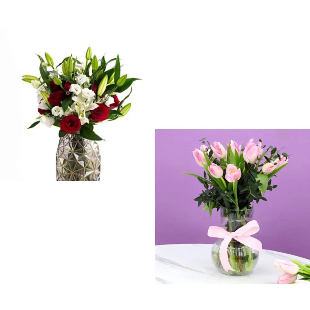 Organic Bundle 1051undefined